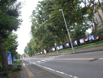 Sagamihara-8.jpg